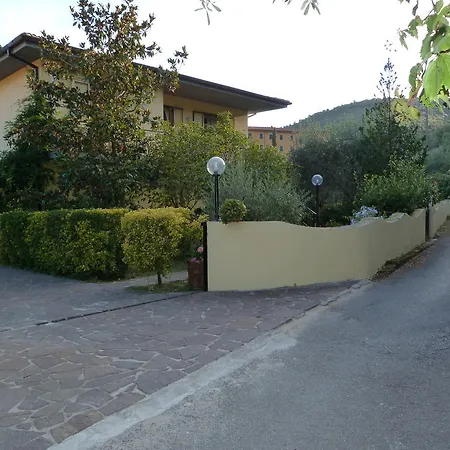 Gli Olivi Calci