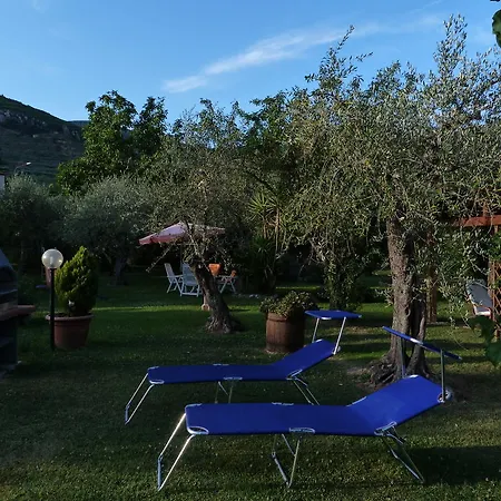 Gli Olivi
